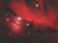 HorseHead_2024_HOO