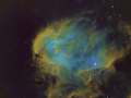 Chicken_1080