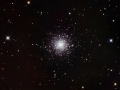 M79