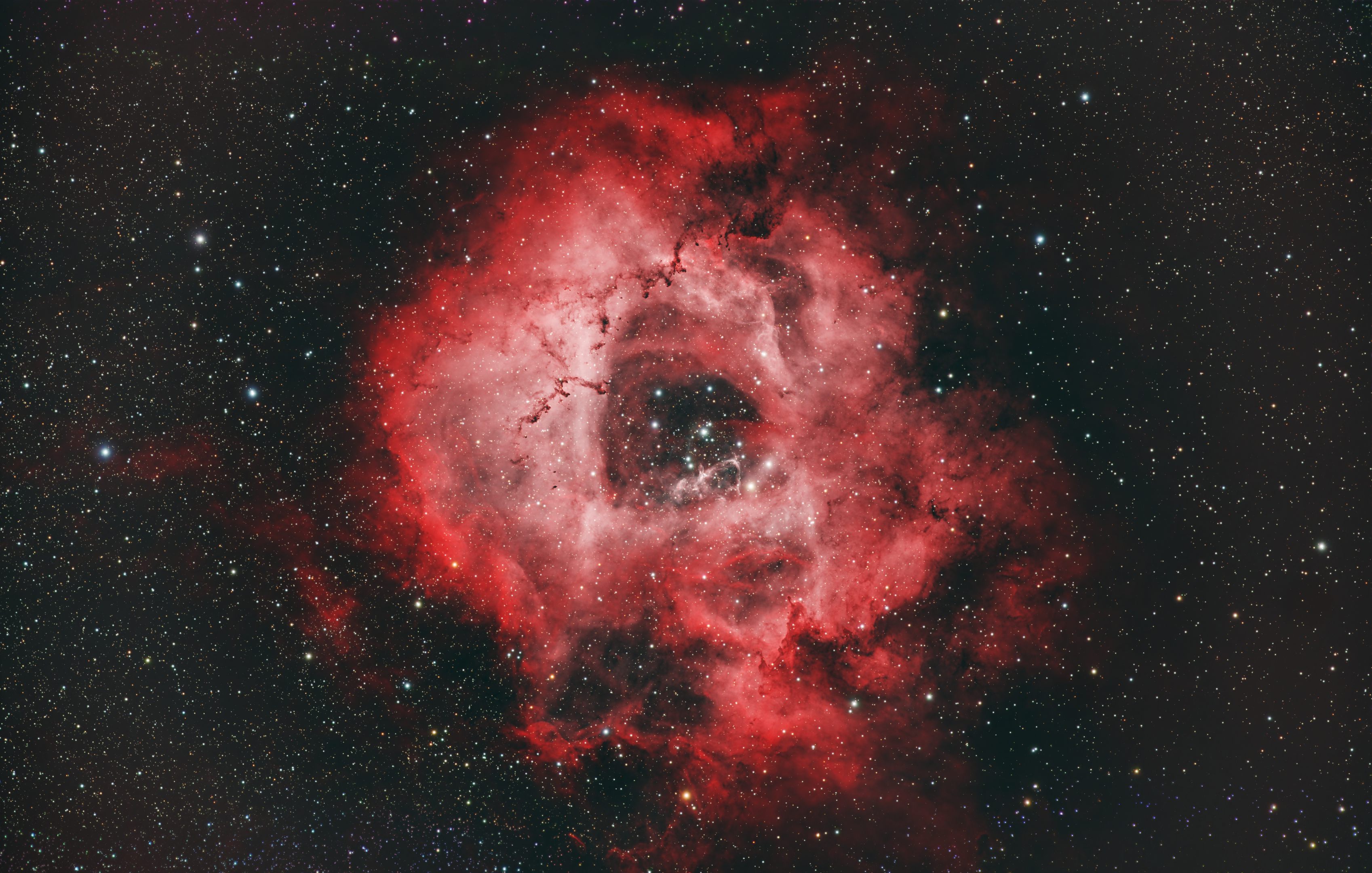 Rosette_HOO
