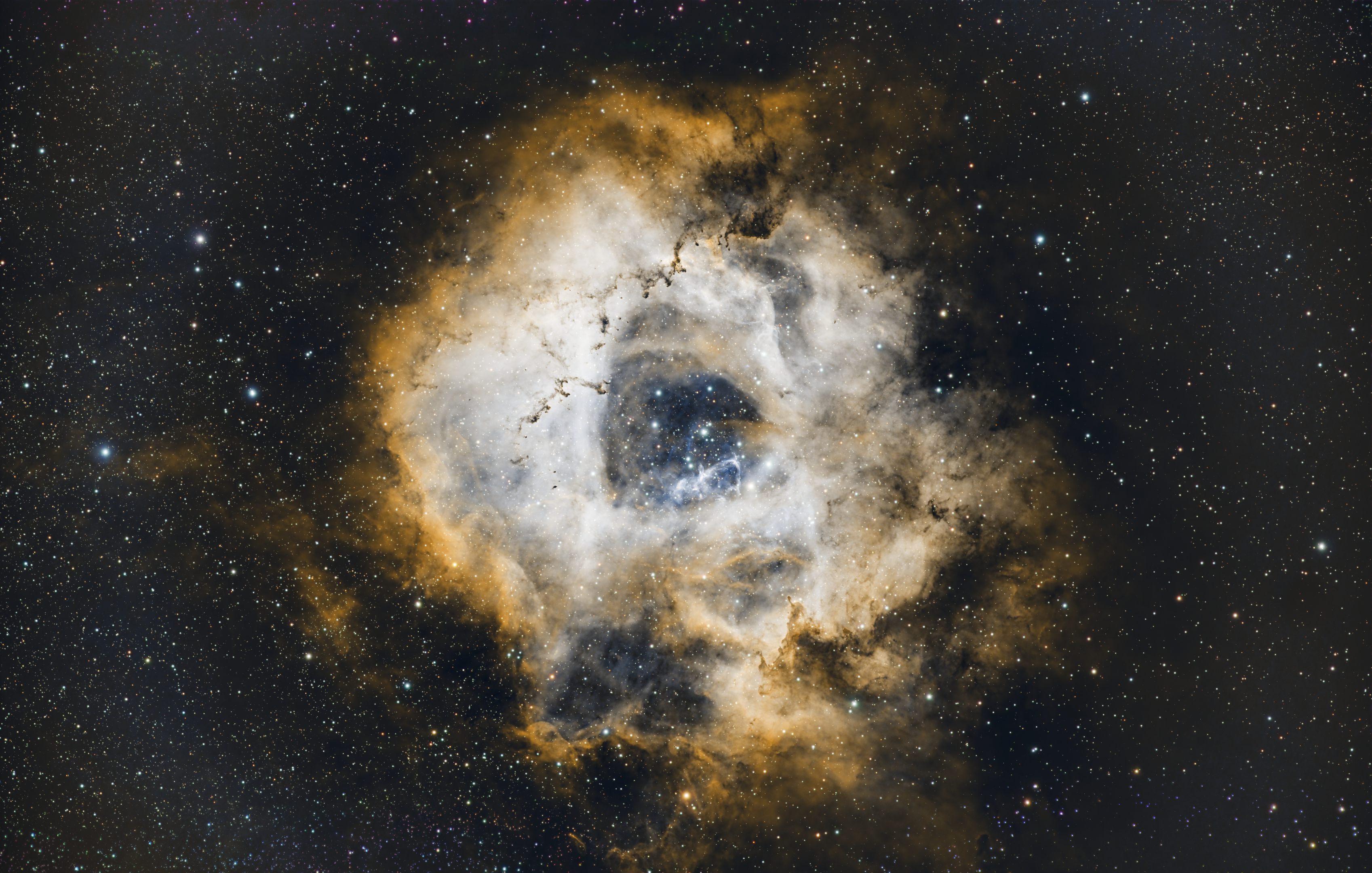 Rosette_NBN