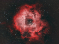 Rosette_HOO