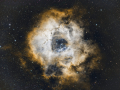 Rosette_NBN