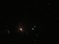 M42: Orion Nebula