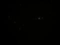 Orion