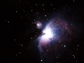 M42