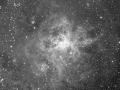 Tarantula-Nebula